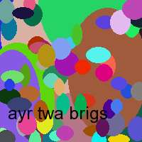 ayr twa brigs